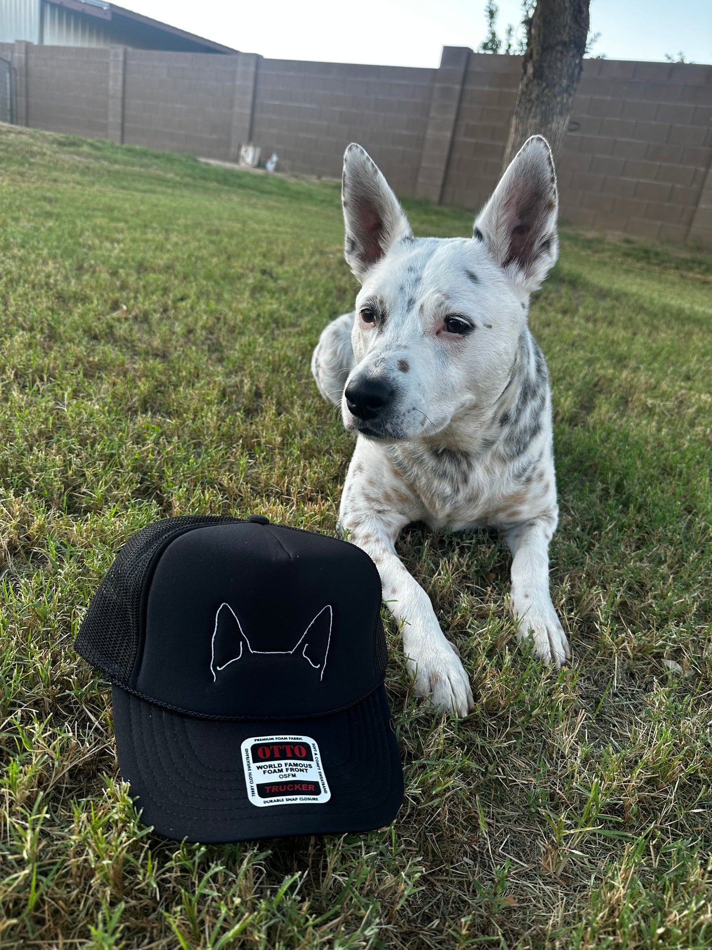 Dog ears embroidered hat