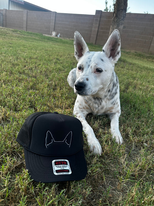 Dog ears embroidered hat