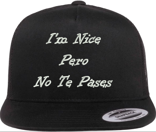 I'm Nice embroidered hat